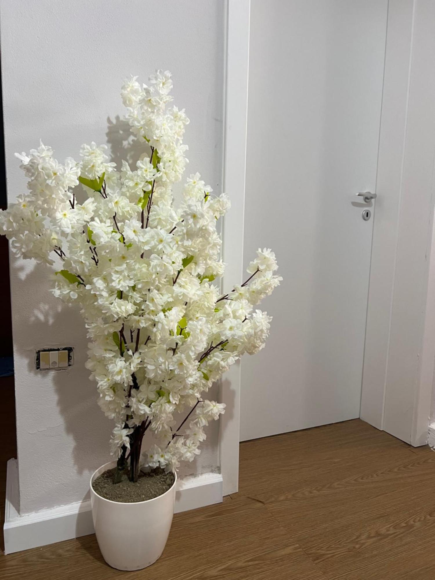 Reginas House Apartment Durres